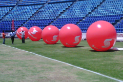 IMG00058-20130606-1246